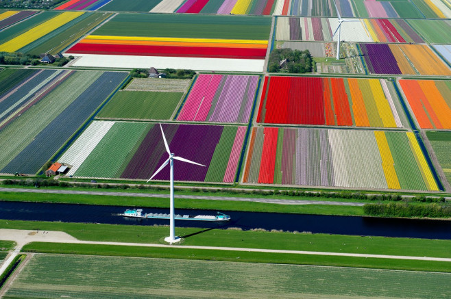 Aerial photographs of tulip fields in the Netherlands by Normann Szkop - April 2011