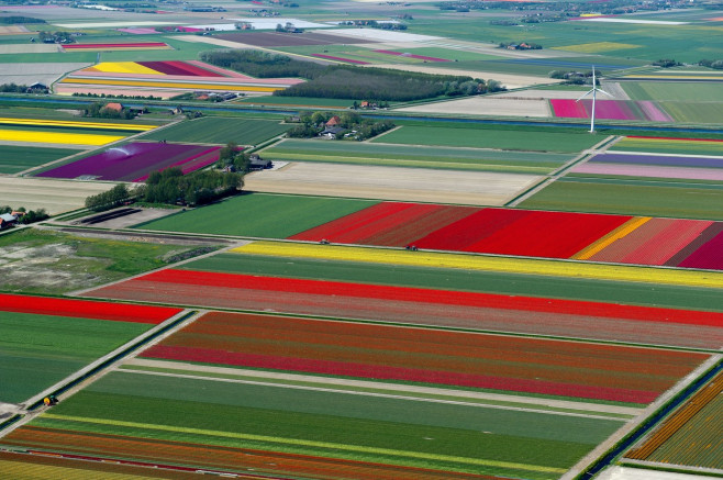 Aerial photographs of tulip fields in the Netherlands by Normann Szkop - April 2011