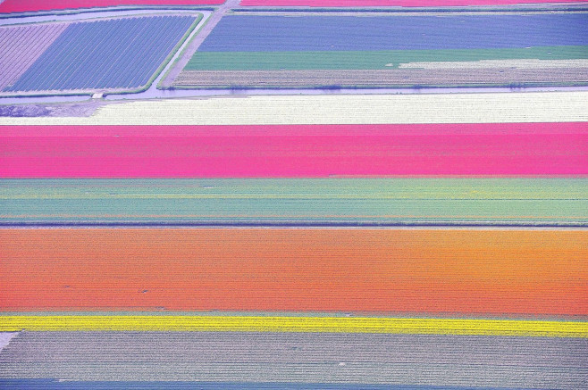 Aerial view of tulip fields, Netherlands - 30 Apr 2013