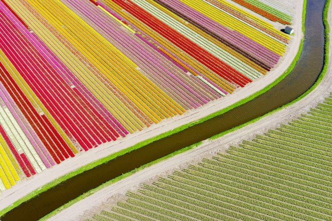 Aerial shots of tulip fields, Sassenheim, Netherlands - Apr 2015