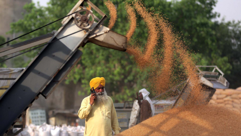 Wheat is unloaded from a trolley at a market in Amritsar district of India's northern Punjab state