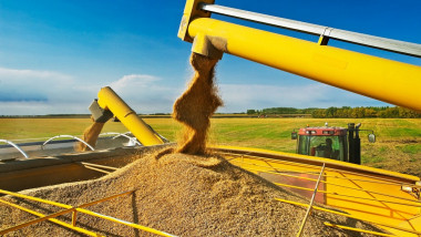 Harvested stockpiled oats are augered into a grain wagon and then into a grain truck fro transport to a grain storage elevator.