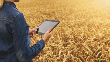 smart farming - modern farmer working with digital tablet in cereal field. banner copy space