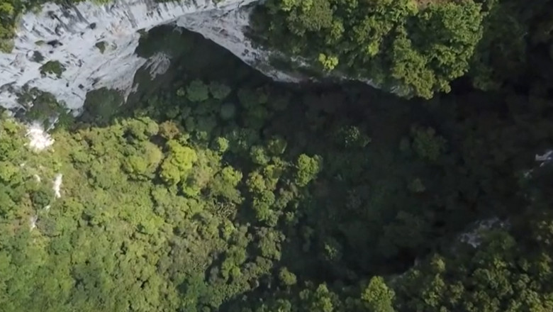 O goapă adâncă 192 de metri a fost descoperită în China, iar înăuntrul ei, cercetătorii au găsit o uimitoare pădure străveche, cu copaci înalți de 40 de metri