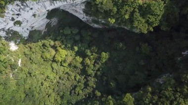 O goapă adâncă 192 de metri a fost descoperită în China, iar înăuntrul ei, cercetătorii au găsit o uimitoare pădure străveche, cu copaci înalți de 40 de metri