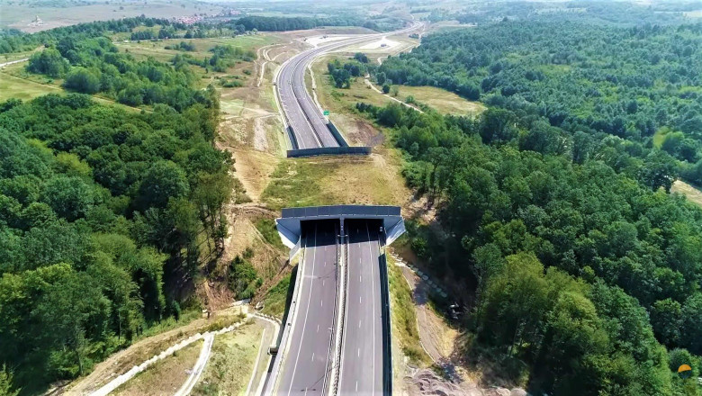 Ecoduct pentru traversarea animalelor construit deasupra Autostrăzii Lugoj-Deva.