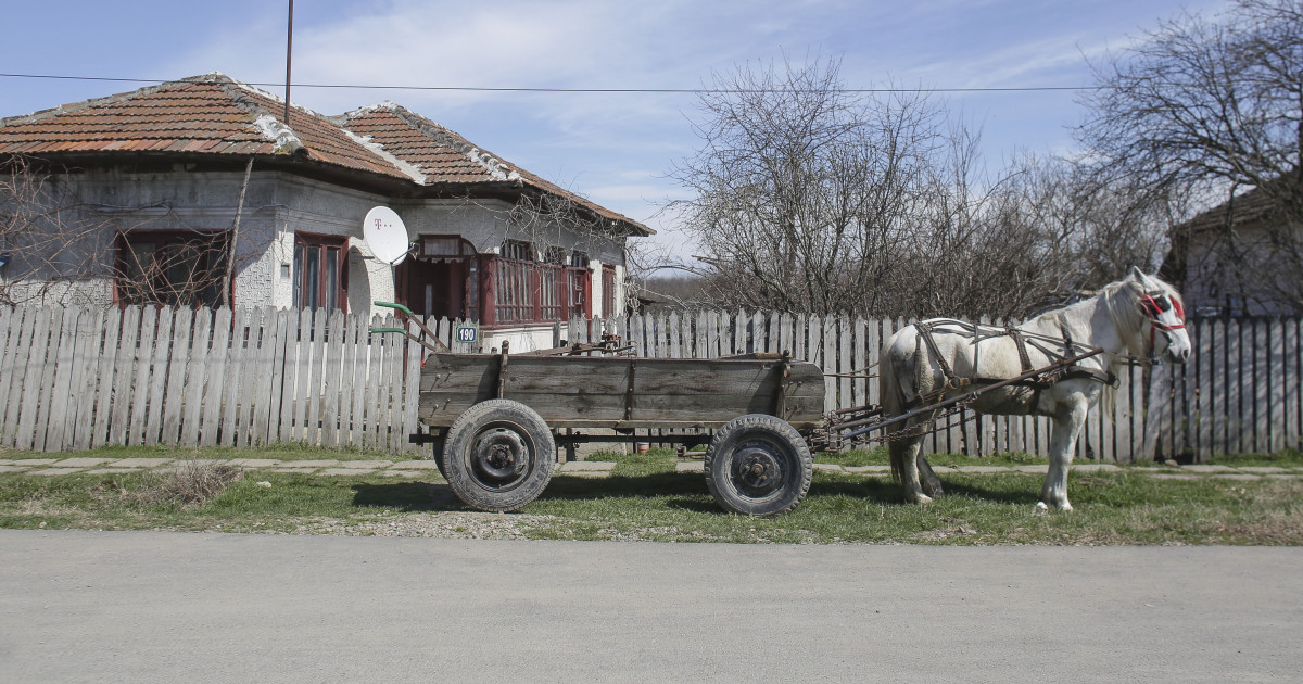 Agenția de Intervenție și Plăți pentru Agricultură | Government of Moldova