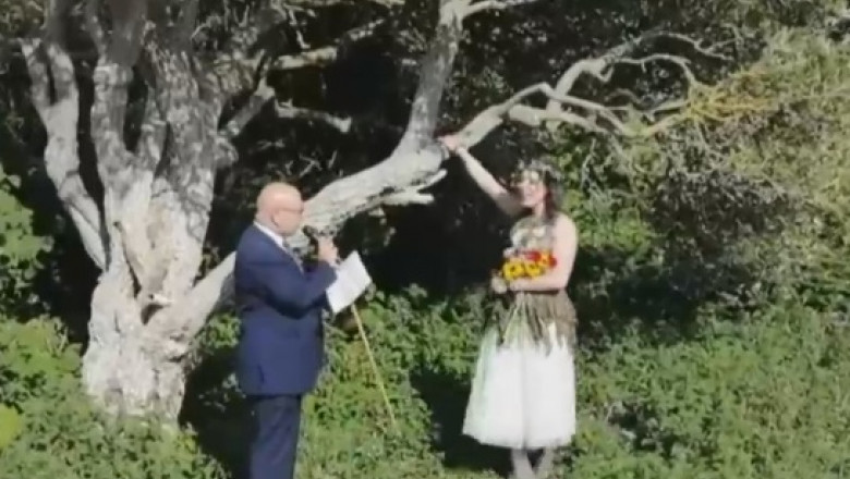 casatorie cu un copac