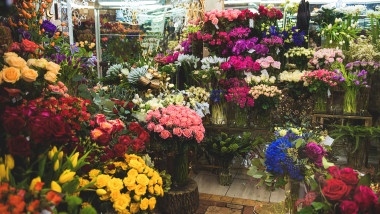 Beautiful varicolored roses in store