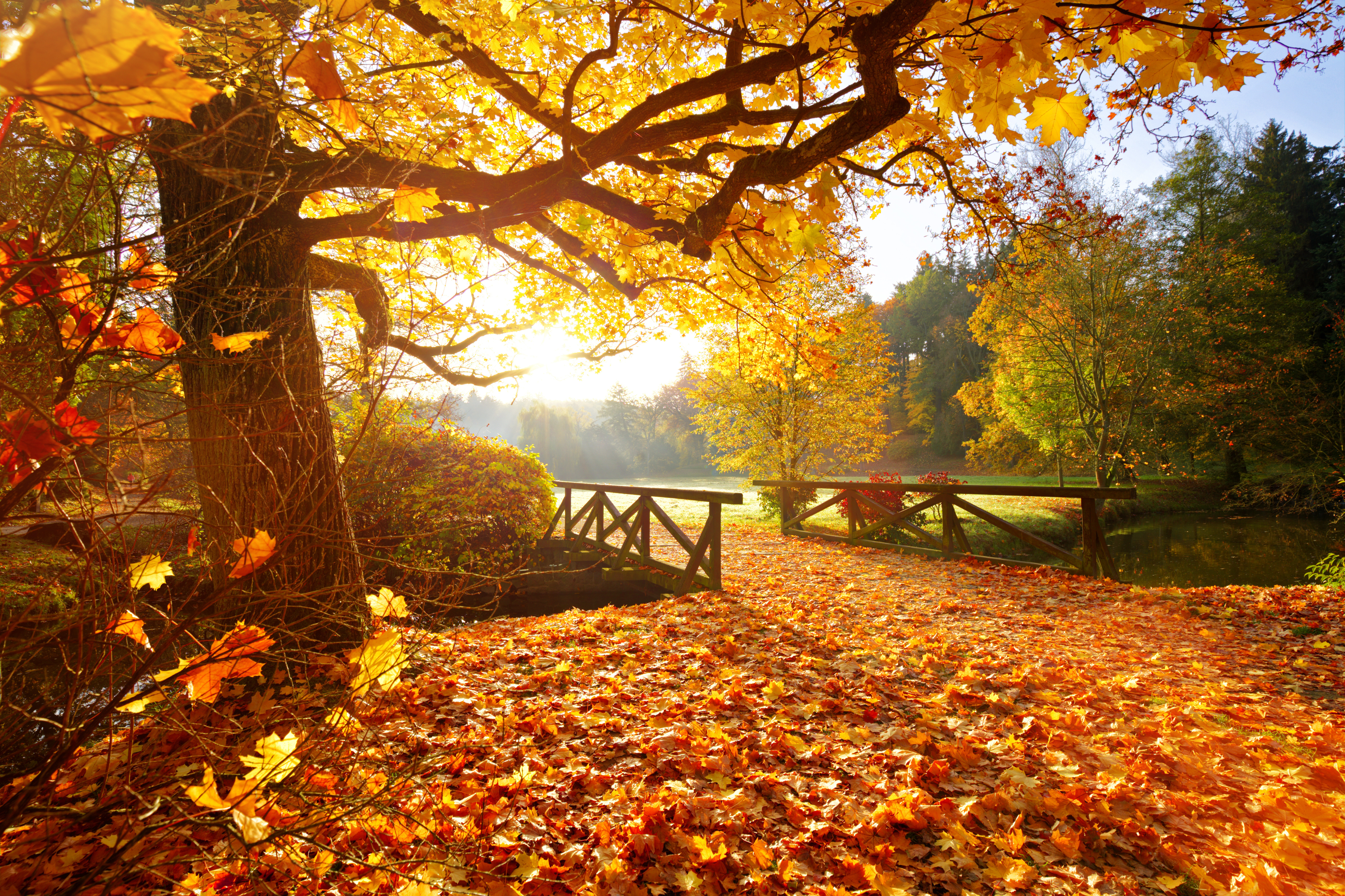Noiembrie 2020, cea mai caldă lună noiembrie înregistrată vreodată