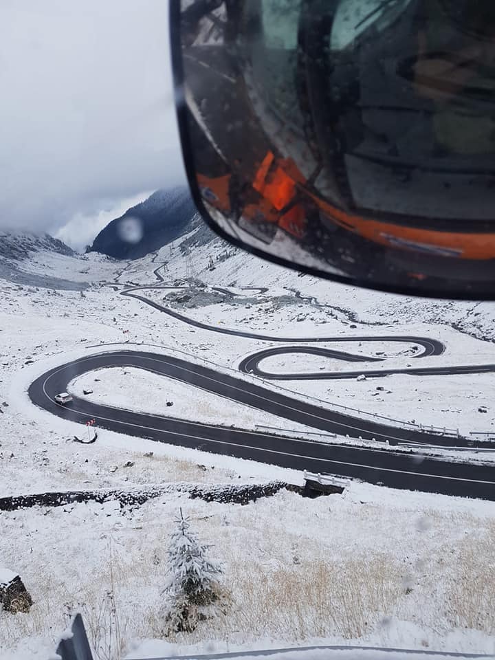 O ursoaică cu doi pui, filmată pe Transfăgărășan. Drumul este acoperit de zapadă și este închis pe timpul iernii