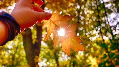 I love autumn. Close up shot of hand holding yellow leaf.