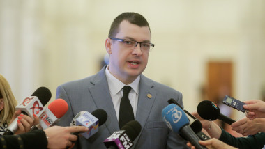 vicepresedintele Ovidiu Raetchi face declaratii la parlament