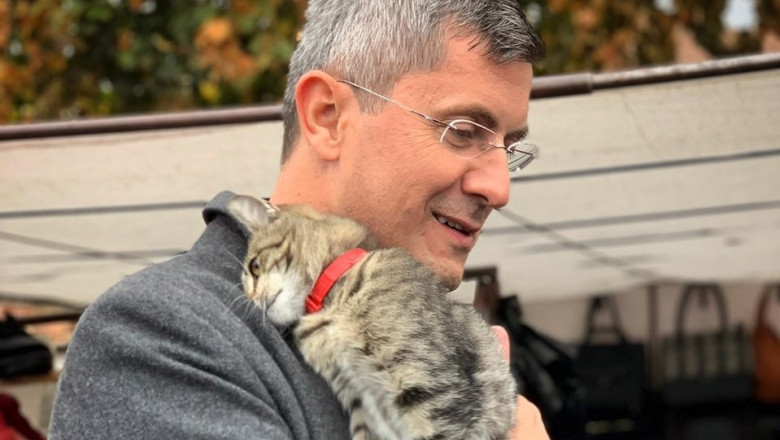 Dan Barna Poze Cu Pisici Pentru Turul Doi Despre Sondajul Imas