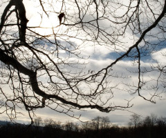 Prognoza meteo de weekend: Vremea se încălzește. Unde vor ajunge maximele la 13 grade