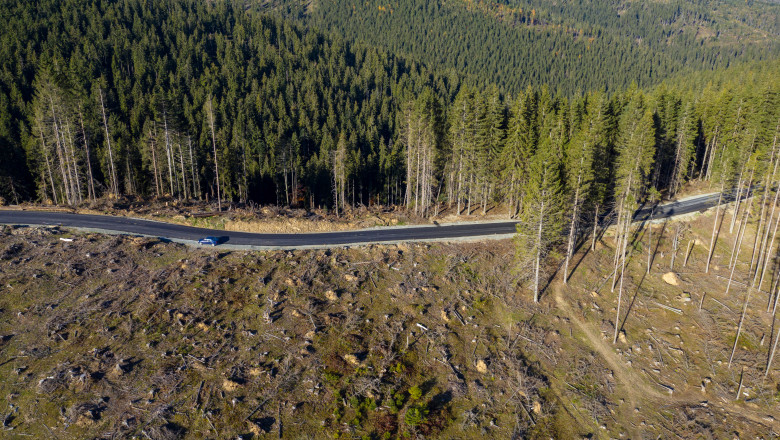 Deforestation aerial photo. Drone shot of destroyed forest in Romania. Global warming concept