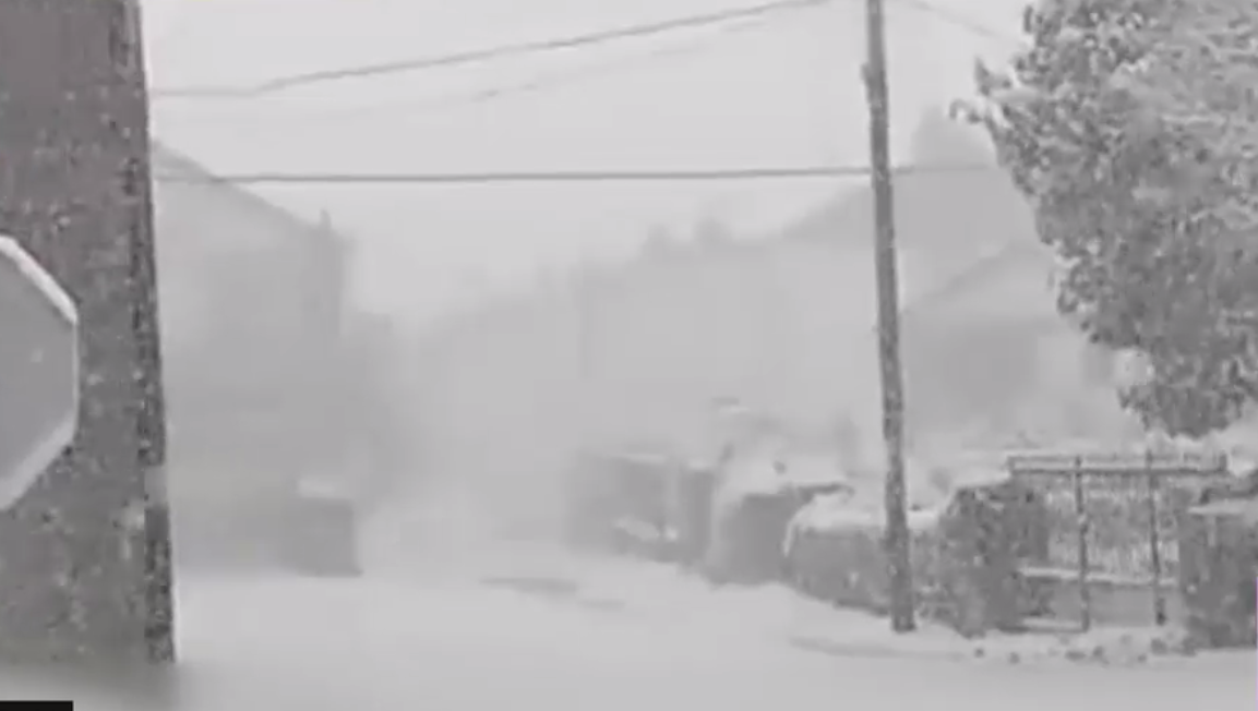 Furtuna Therese lovește Tenerife: zăpadă și vânt puternic pe insula spaniolă. Cod portocaliu: drumuri închise și zboruri anulate