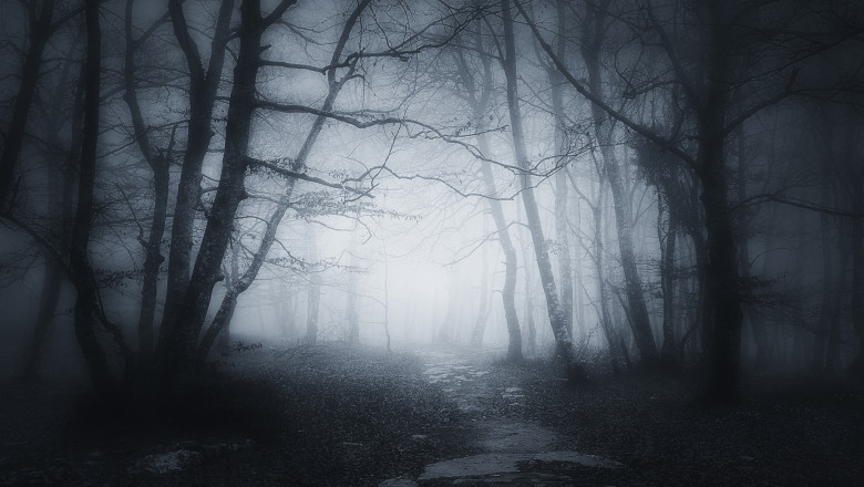 path in dark and scary forest