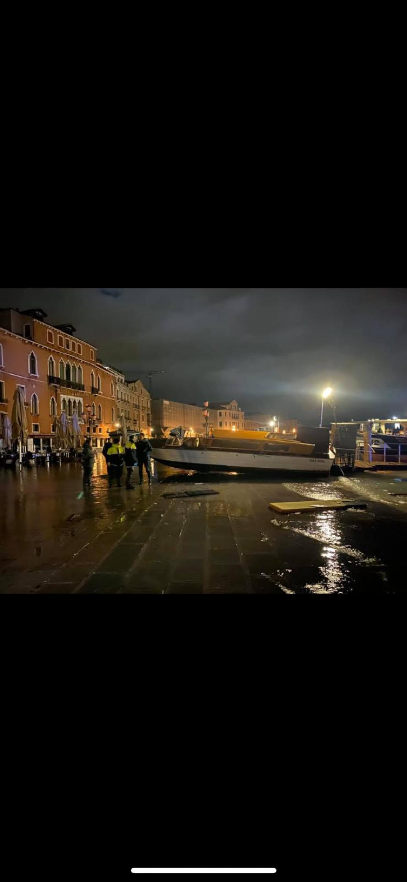 Venetia inundata 131119 (4)