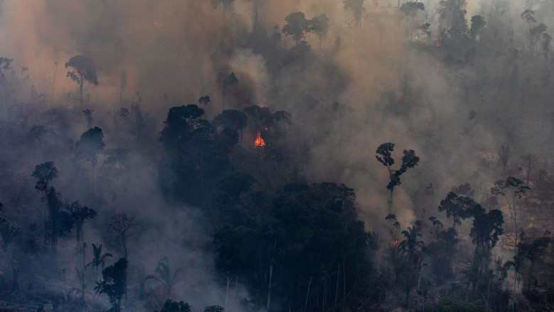 Record Number Of Fires Torch Brazil's Amazon Forest