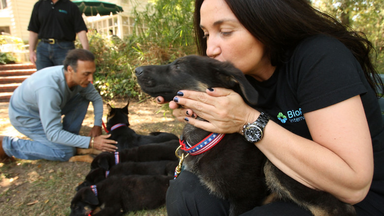 Animale clonate la compania BioArts în 2009. Trakr, un ciobănesc german,este un câine care a salvat oameni la Ground Zero după atacurile de la 11 septembrie 2001