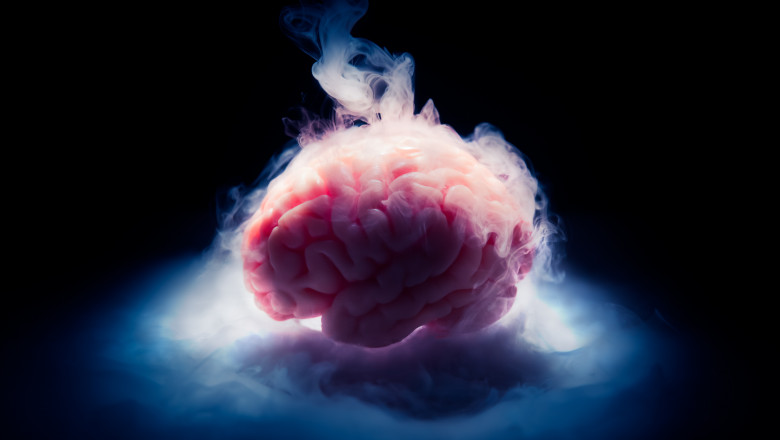 High contrast image of a frozen brain on a dark background