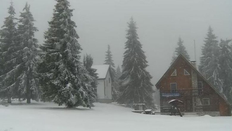 casa vila brazi ninge ninsoare pensiune