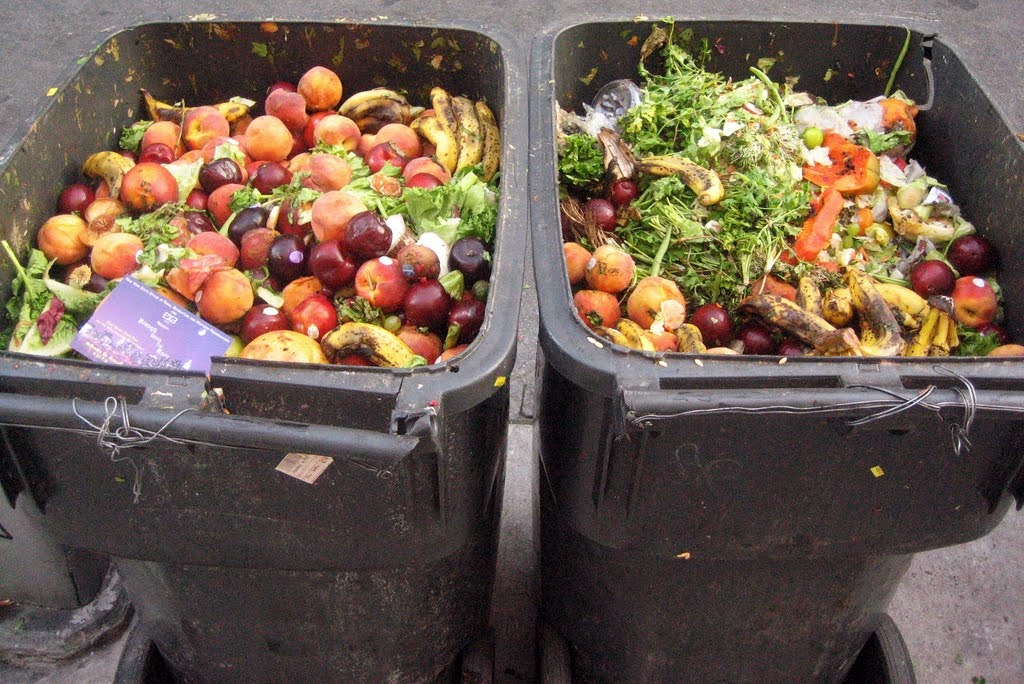 Campioni la sărăcie, printre primii la risipă. Românii aruncă milioane de tone de alimente pe an la gunoi
