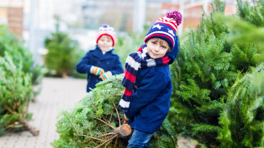 Two little sibling kid boys holding christmas tree. Happy children in winter clothes choosing and buying xmas tree in outdoor shop. Family, tradition, celebration concept