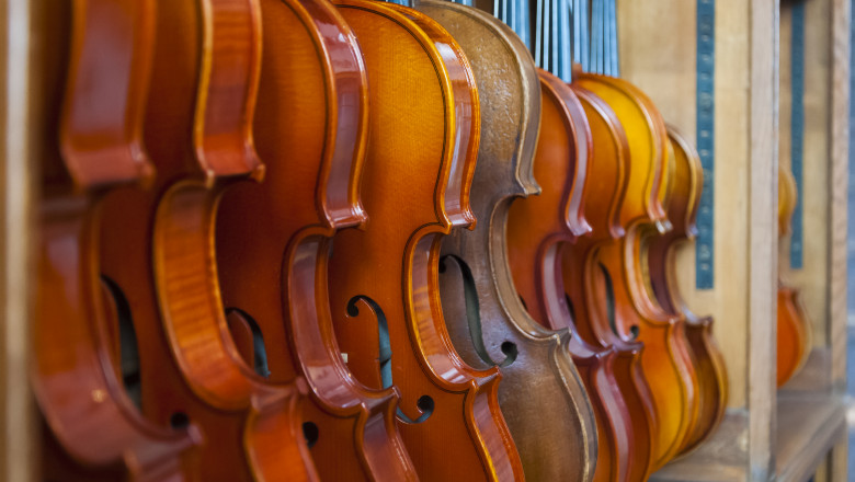 Row of violins on display rack in natural light