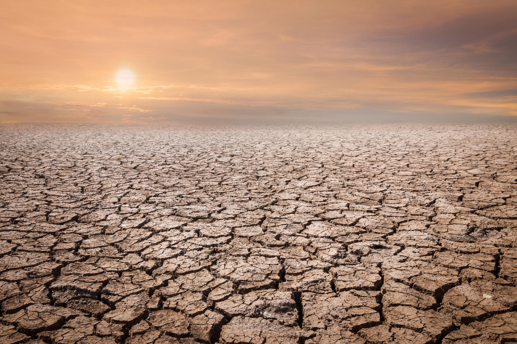 Epuizarea rezervelor de apă pune presiune pe Europa. Climatolog: Seceta din 2022 a fost cea mai mare din ultimii 500 de ani
