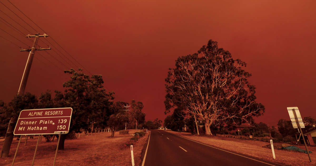 Mars Rooster Exclamation point Imagini dincolo de cuvinte. Cerul s-a făcut roşu ca sângele în sud-estul  Australiei | Digi24
