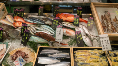 Display at Tokyo's Tsuki-ji Fish Market
