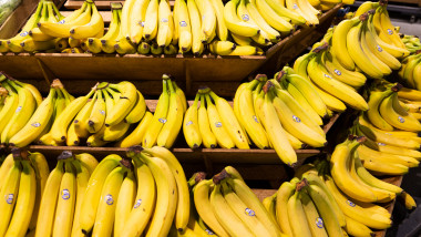 Hands of fresh yellow bananas on wooden shelves in groceries