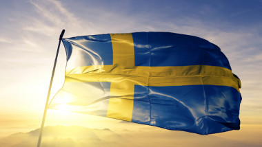 steag Suedia