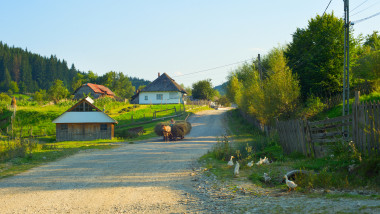 Man riding in horse cart with hay through the typical Romanian village, Romania