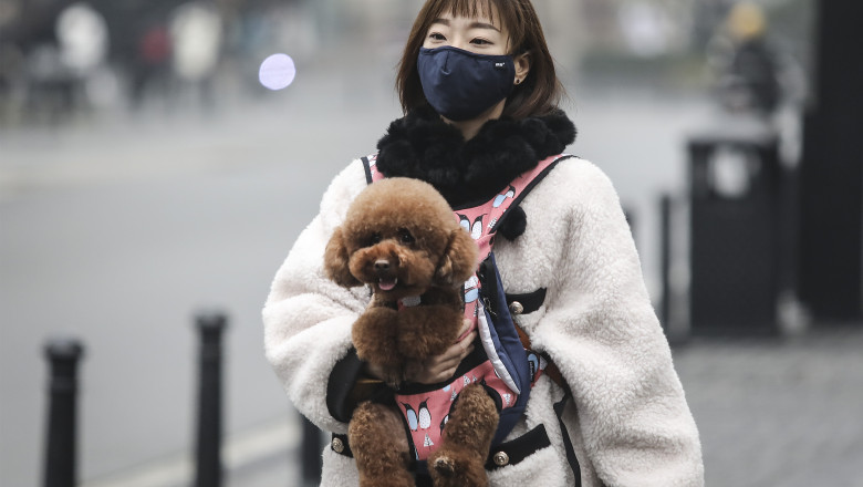 femeie cu câine în brațe și mască pe față, epidemie coronavirus China