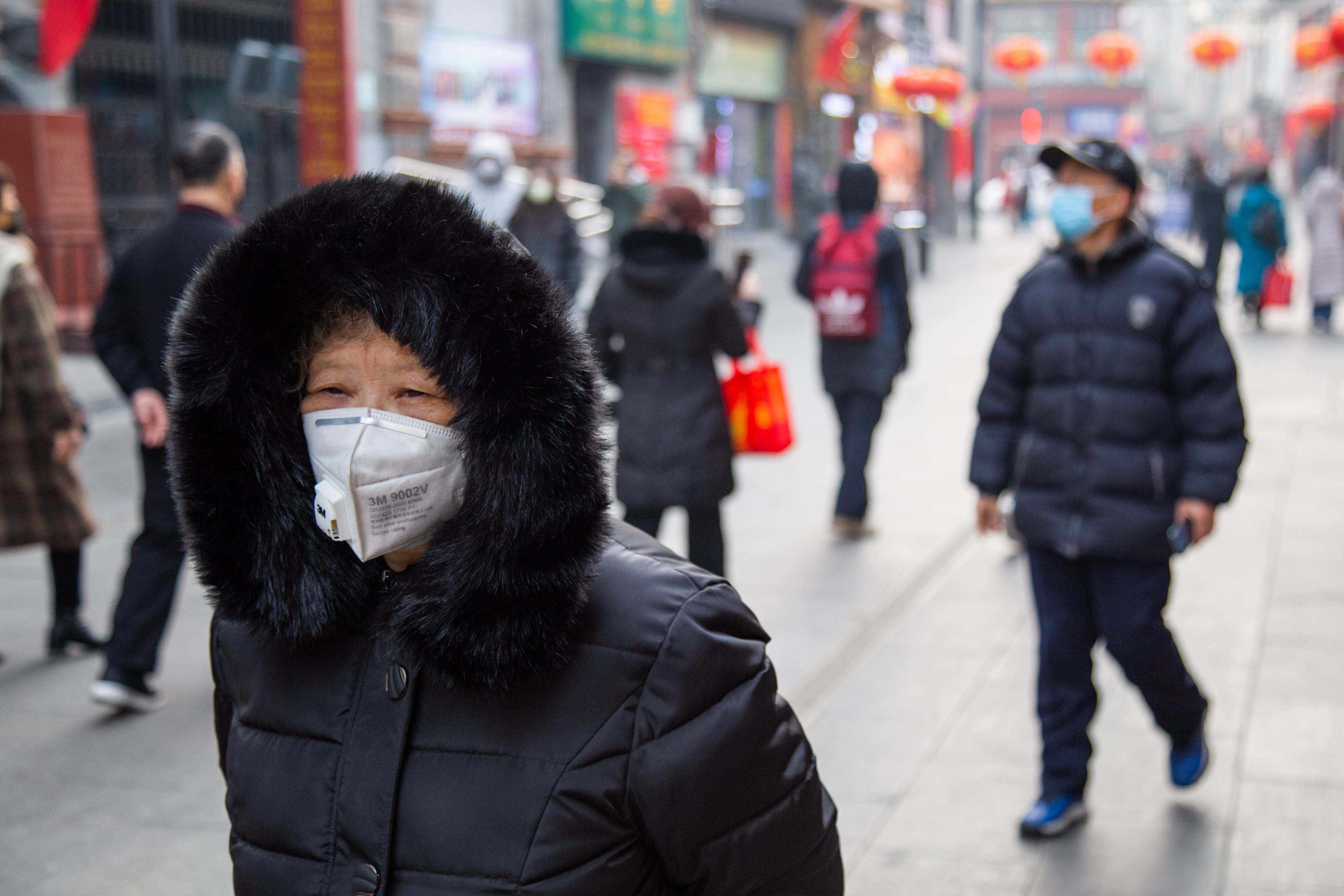 Încă o problemă pentru China: Epidemii de gripă aviară în două provincii