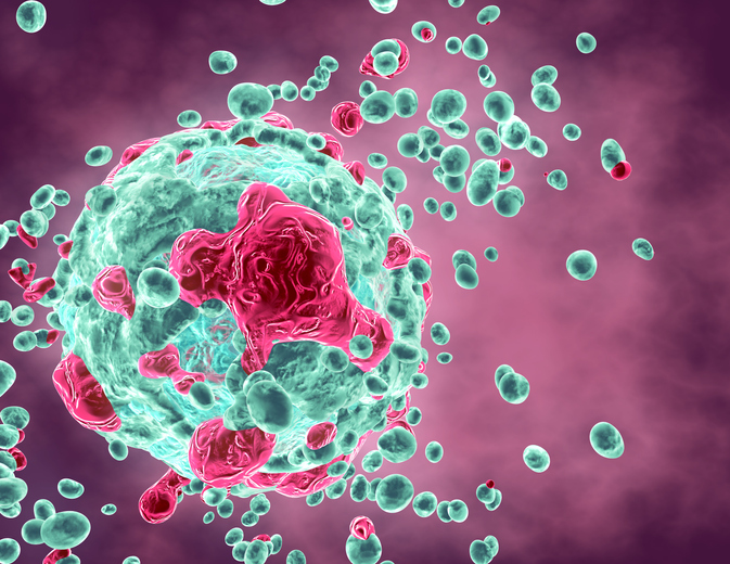 Descoperirea care „antrenează” sistemul imunitar să atace cancerul și să se vindece