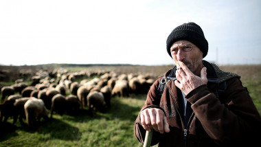 cioban român cu oi