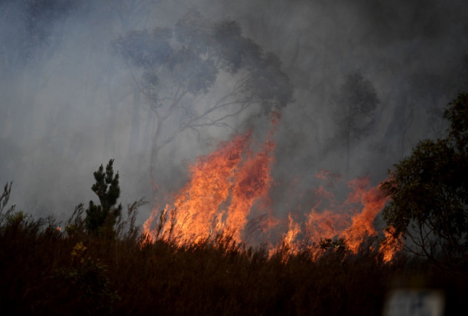 Fire Crews Work To Bring Tallaganda National Park Bushfire Under Control