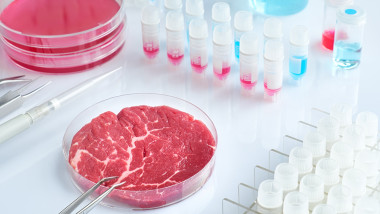 carne în laborator lângă eprubete