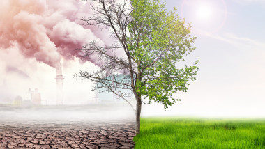 simbol al schimbarilor climatice, jumatate din fotografie arata pamant uscat si furnale, jumatate un copac verde si un camp cu iarba