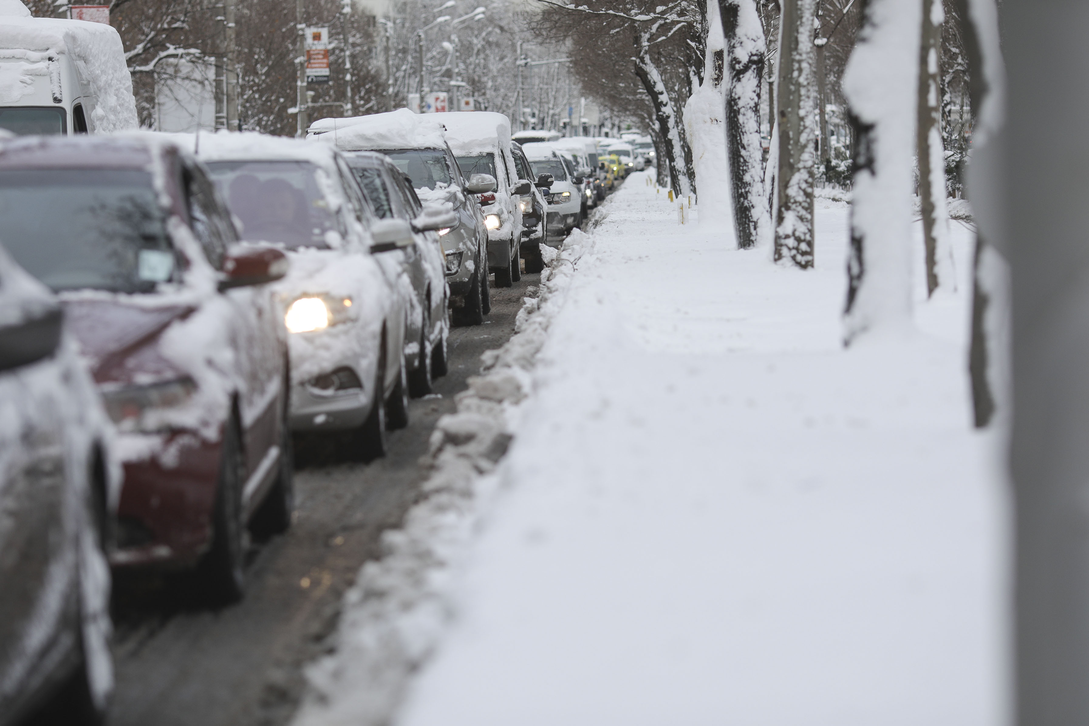 ANM a emis o nouă informare de polei și ninsori. Zonele în care vântul va atinge 65 km/h