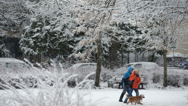 doi oameni plimba cainele pe ninsoare