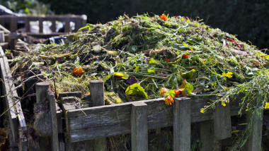 Organic compost with green waste - process which makes natural ferteliser from food and garden waste.