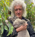 Brian May a facut fotografii alaturi de un urs koala, in Australia 4