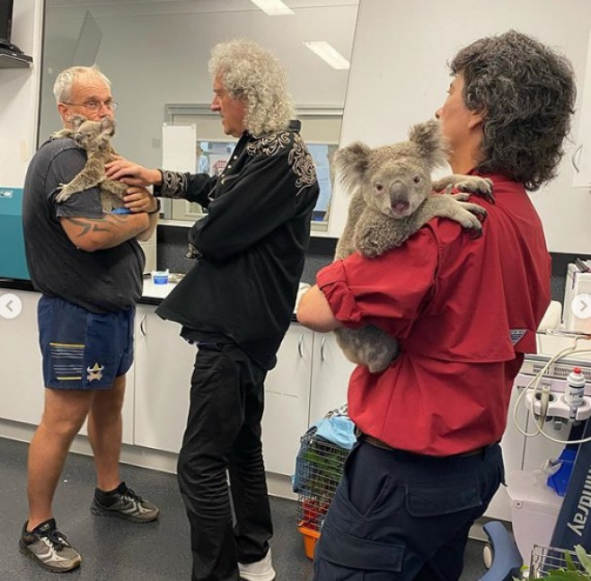 Brian May a facut fotografii alaturi de un urs koala, in Australia 1