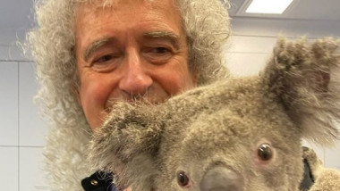 Brian May a facut fotografii alaturi de un urs koala, in Australia