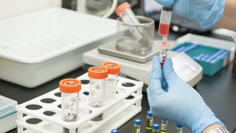 Scientist and bio lab experiment